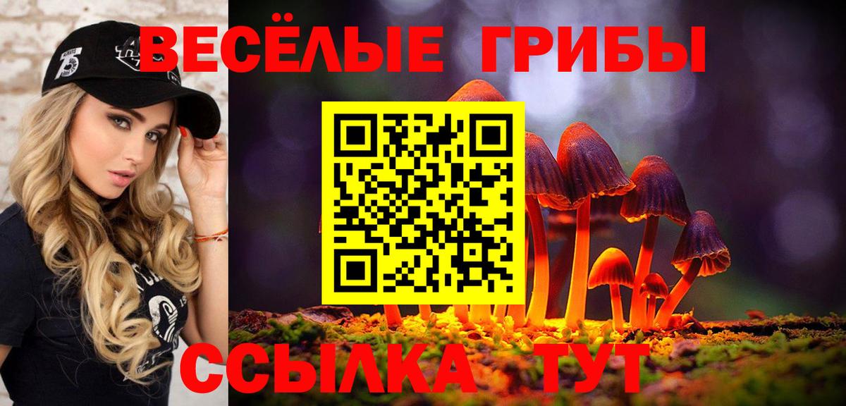 Псилоцибиновые грибы мухоморы Богородск