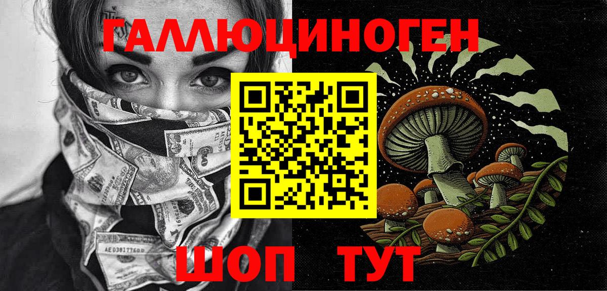 Богородск  Псилоцибиновые грибы GOLDEN TEACHER  Псилоцибиновые грибы Psilocybine cubensis  Вход с VPN 
